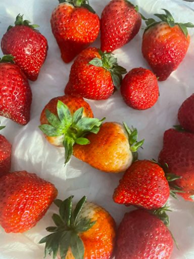 Färska jordgubbar i olika storlekar, några röda och en orange, på vit yta.